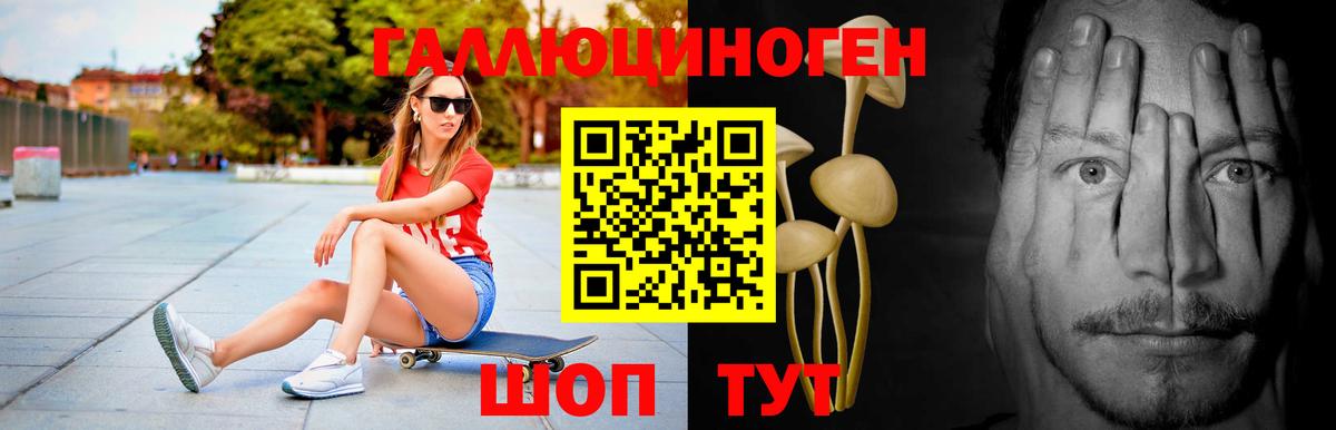 Галлюциногенные грибы Psilocybine cubensis  Вход с VPN  Карталы  Псилоцибиновые грибы мицелий 